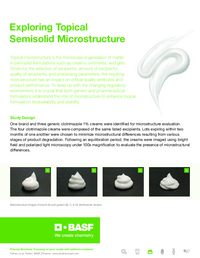 Thumbnail of document Exploring Topical Semisolid Microstructure