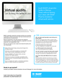 Thumbnail of document Virtual Audit Report